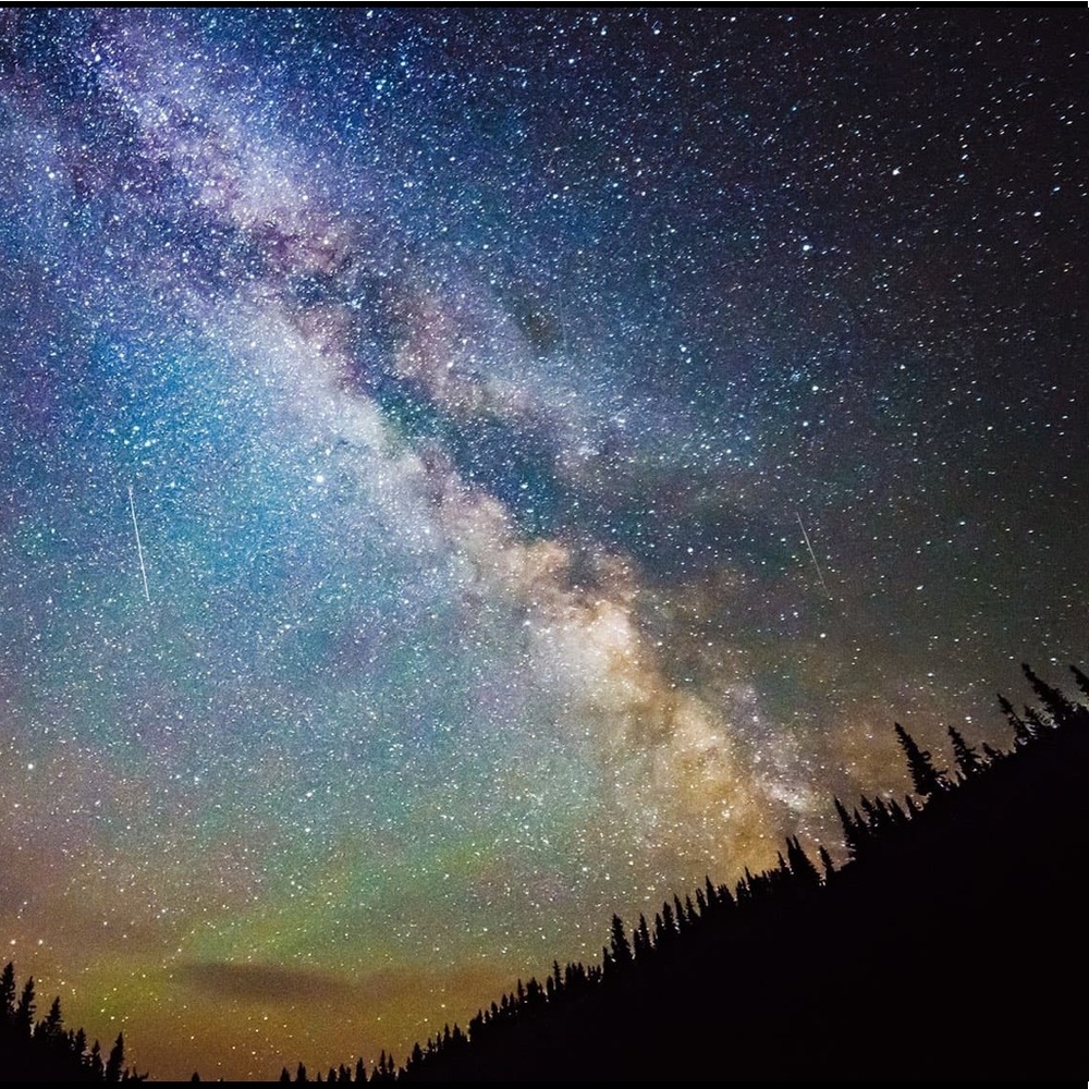 Meet your Posher, Bri